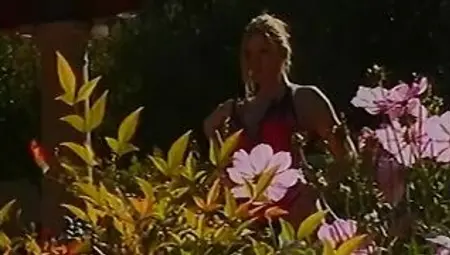 Super goddess spreads her legs and gets her pink pussy licked