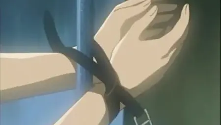Bondage hentai sucking dick and swallowing cum