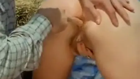 Brigitte Lahaie anal
