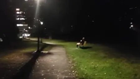 Woman caught mastrubating on park bench at night