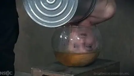 Suspended upside down hooker Dresden gets punished in the basement