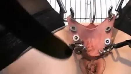 Pierced Pussy in cage