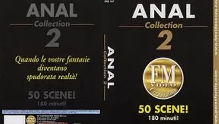 Anal Collection Vol 2