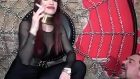 Lady Scarlet - Stay In Position For My Wills