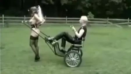 Ponygirls - Pony Girl Submission (2).avi