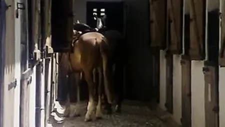 Apocalipsis Raunchy (1982)
