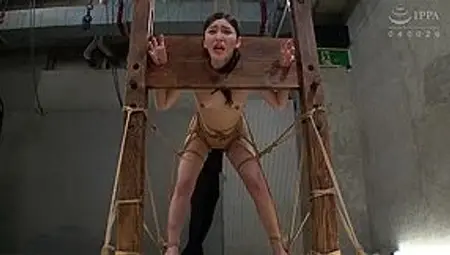 Gtj-109 Guy Torture Perfect Slave Aya Shiomi - Teaser Video