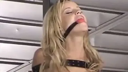Sexy Secretary Cory Lane Is Bound and Humiliated by Boss
