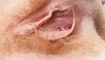 Hot hairy pussy babe Ana Molly gives a nice hairy show