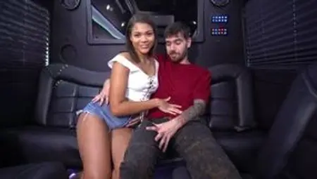 Michelle Anderson fucks a dude RAW on a party bus