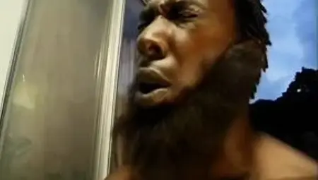 The Black Stallion