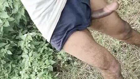 Indian Desi Jija Sali Viral Sexa