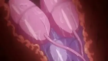 Bondage hentai with bigboobs self dildoing her wetpussy