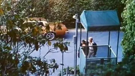 Elementary (1978)