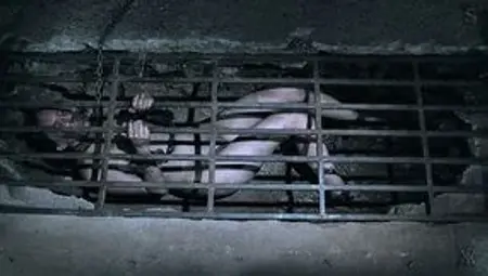 Slutty chick in the cage Sierra Cirque gets punished in the dark cold room