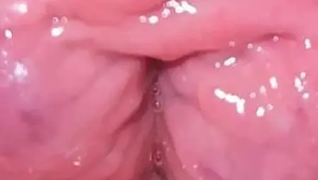 Welcome to my pussy
