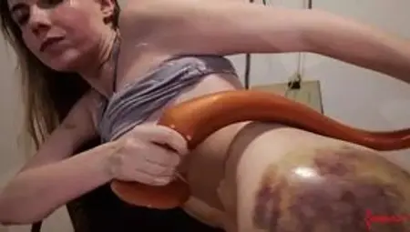 Captive Babes Bending Over for Rough Cock&#x1F32D; Play