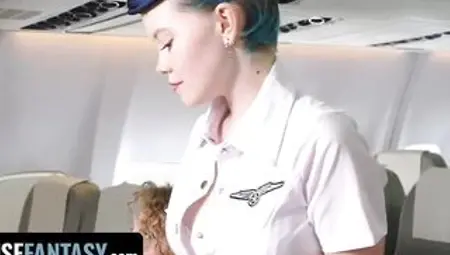 Thank U for Flying Freeuse Airlines - FreeUse Dream