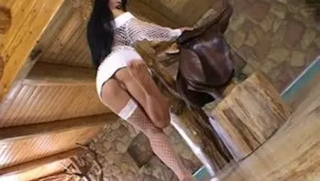 Fishnet Fantasy