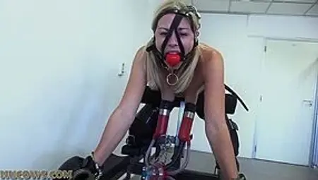 Lucy Lauren The Pet