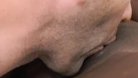 Black Hotty Banged In The One And The Other Holes - Will Pounder