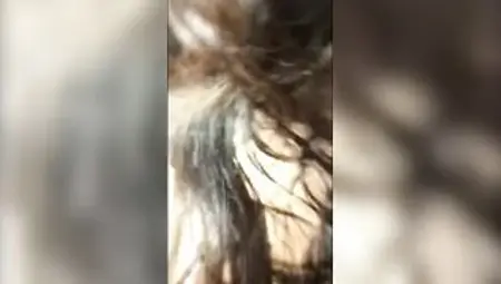 Beurette Franco algerienne defoncee par grosse bite african