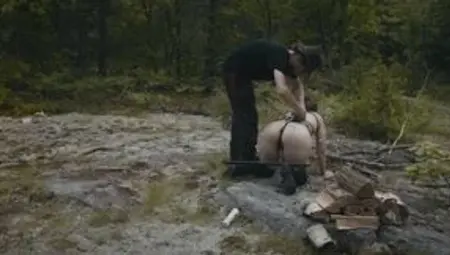 Bdsm Humilation Slave Training - Shock Collar Carrying Wood Exercises Sucking Dick While Pissing