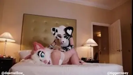 furry Lesbians Hump