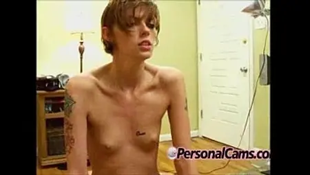 Small tit brunette gets pussy fucked by a big cockx480[2]