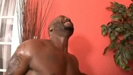 Big booty ebony moans while she gets banged by black stud