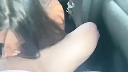 Nasty brunette hair, Maria Gjeli is sucking ramrod and getting screwed, in the back of a van