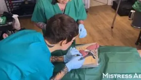 Extreme Medical CBT with Madame Li Ying and Our Slut