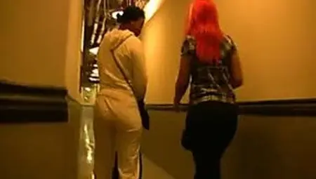 Ebony Star Aryana Star in Ass Everywhere
