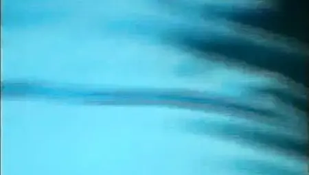 Pornocide #1