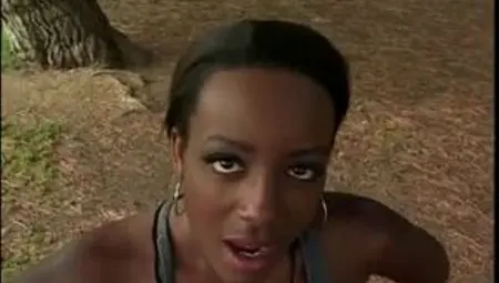 Sierra Lewis Girlz N The Hood 8 Scene 2