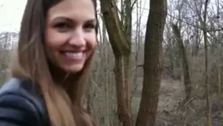 A Walk In The Woods