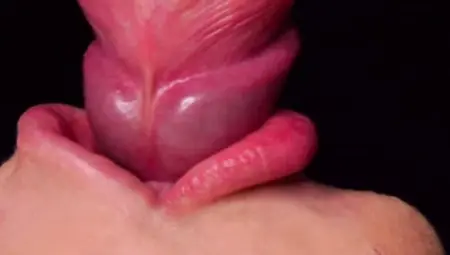 CLOSE UP: HOTTEST Tugging Hatch for your TROUSER SNAKE! Deepthroating Boner ASMR, Tongue and Lips BLOW-JOB