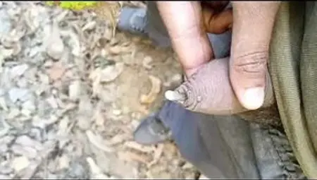 First watching than masterbate and then fun with that.
