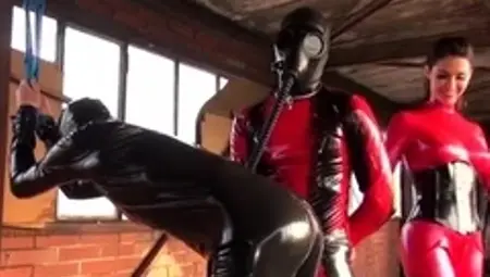 German Mistresses - Mistress Susi - Susi's Latex Sklaven